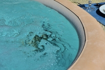 Pas les moyens de vous offrir une piscine, optez pour le SPA